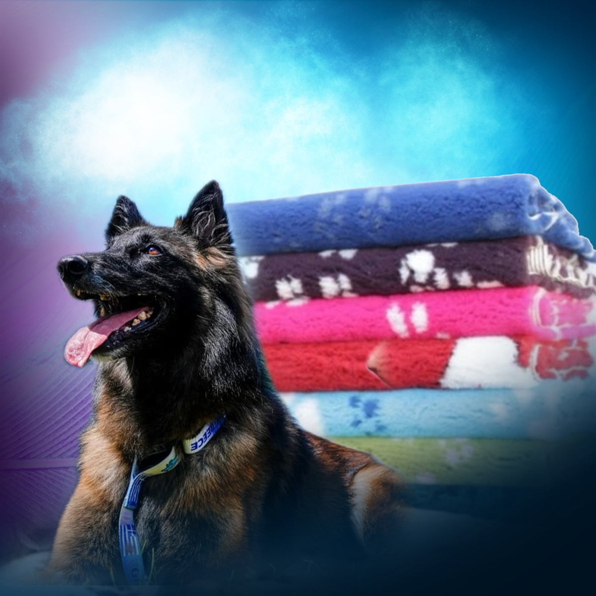 levelupdogs.gr