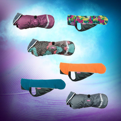 Ρούχα σκύλων