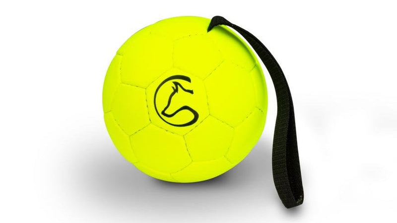 Μπάλες επιβράβευσης & frisbee