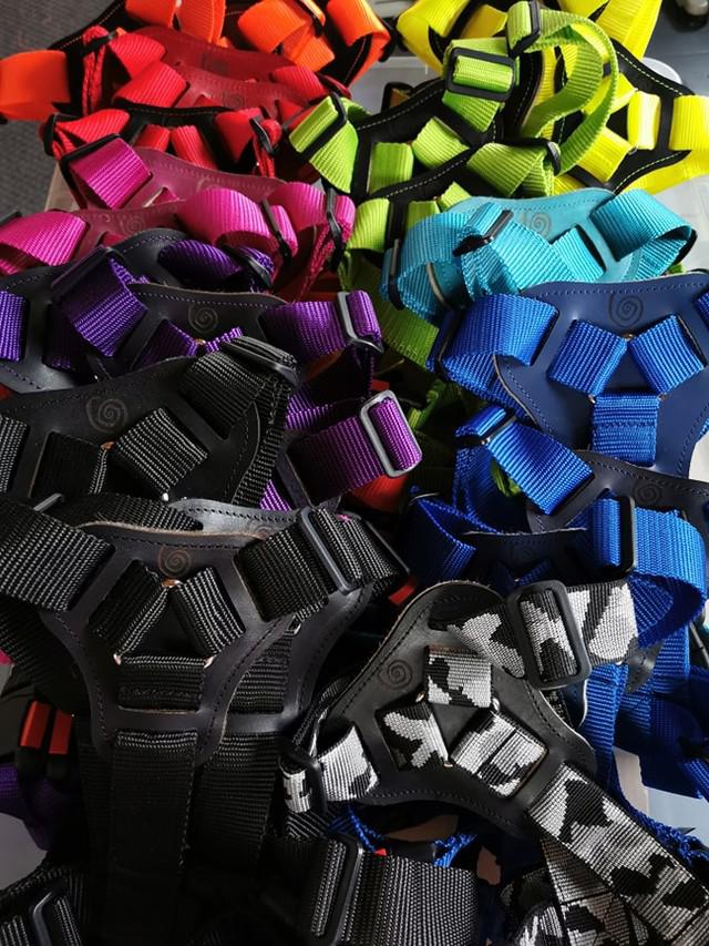 Τρίχρωμο στηθόλουρο medium