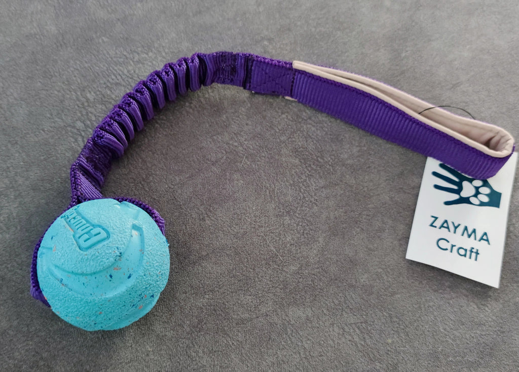 Chuckit! Rebounce ball bungee medium