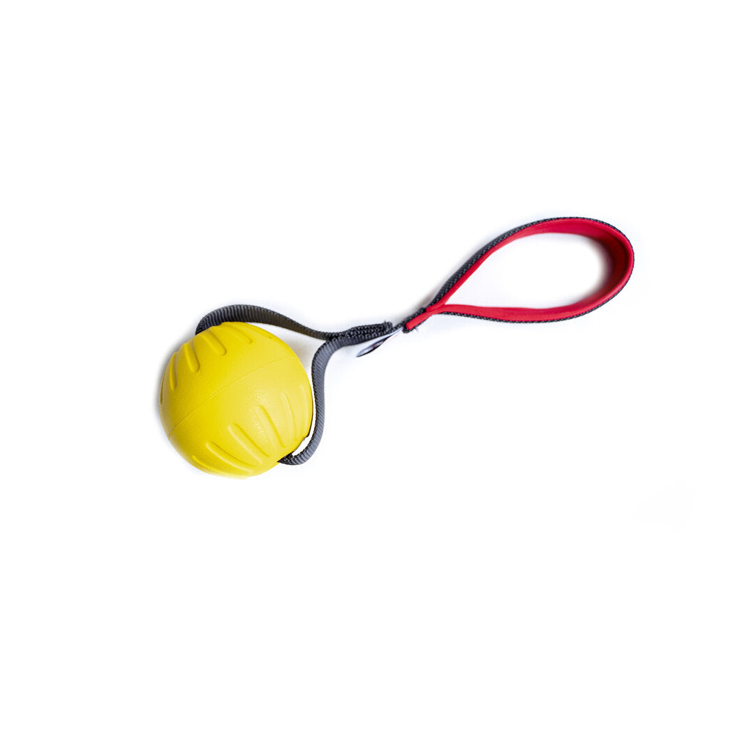 Sunshine Float short