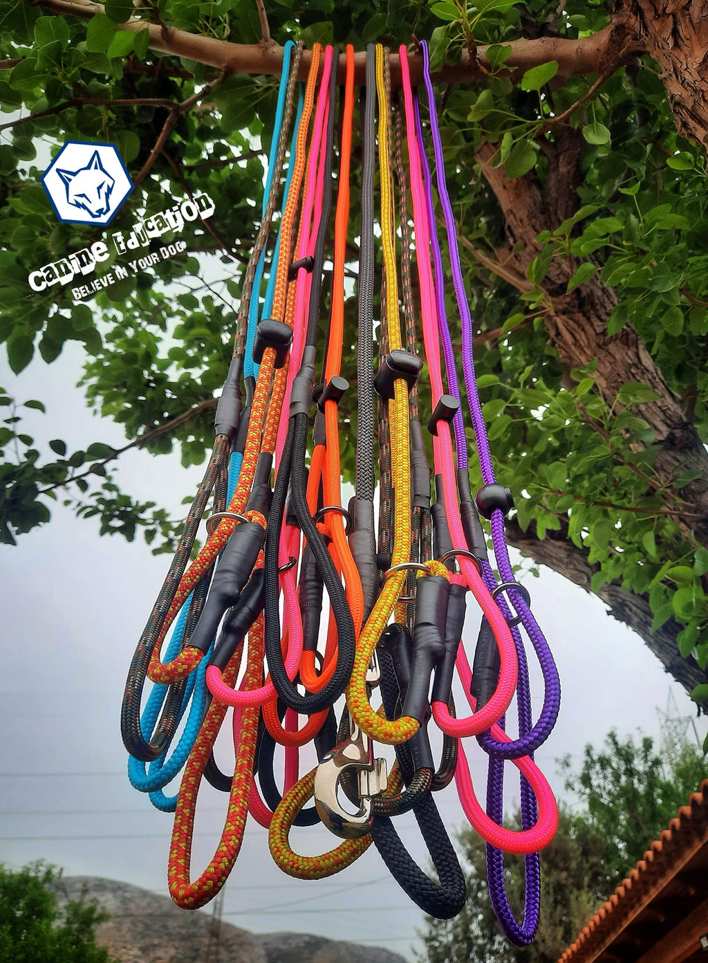 Slip leash οδηγός 6mm (ροζ)