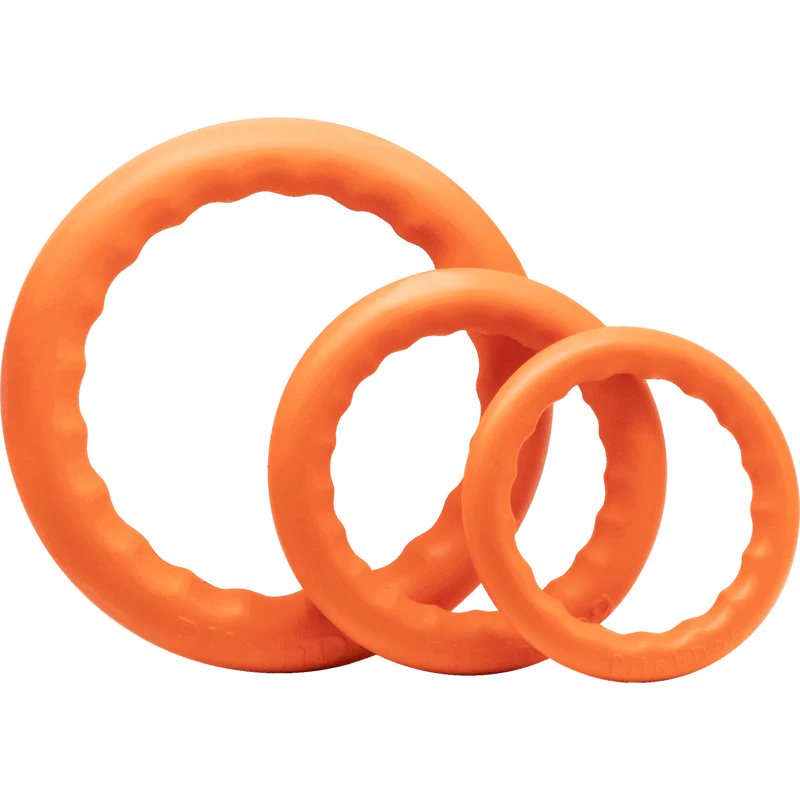 Παιχνίδι foam ring (small)