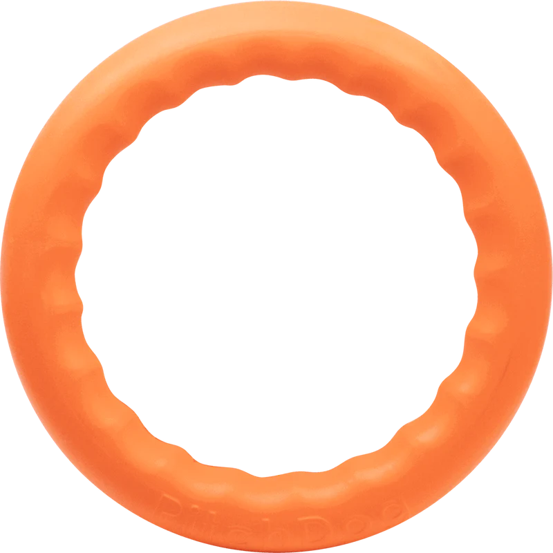 Παιχνίδι foam ring (small)