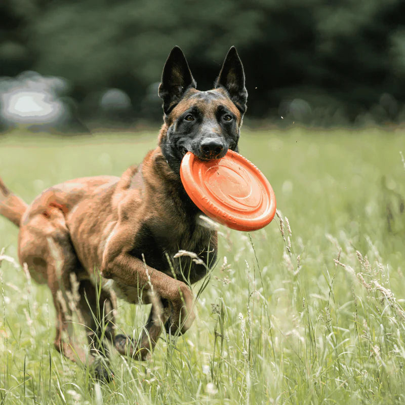 Μαλακό frisbee