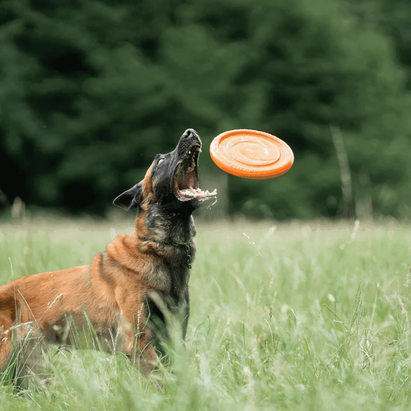 Μαλακό frisbee