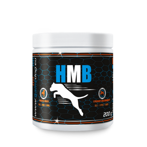 HMB (200gr)