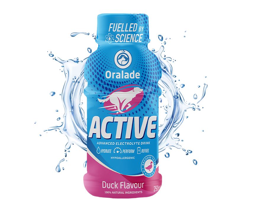 Oralade Active ισοτονικό ρόφημα ηλεκτρολυτών (πάπια)