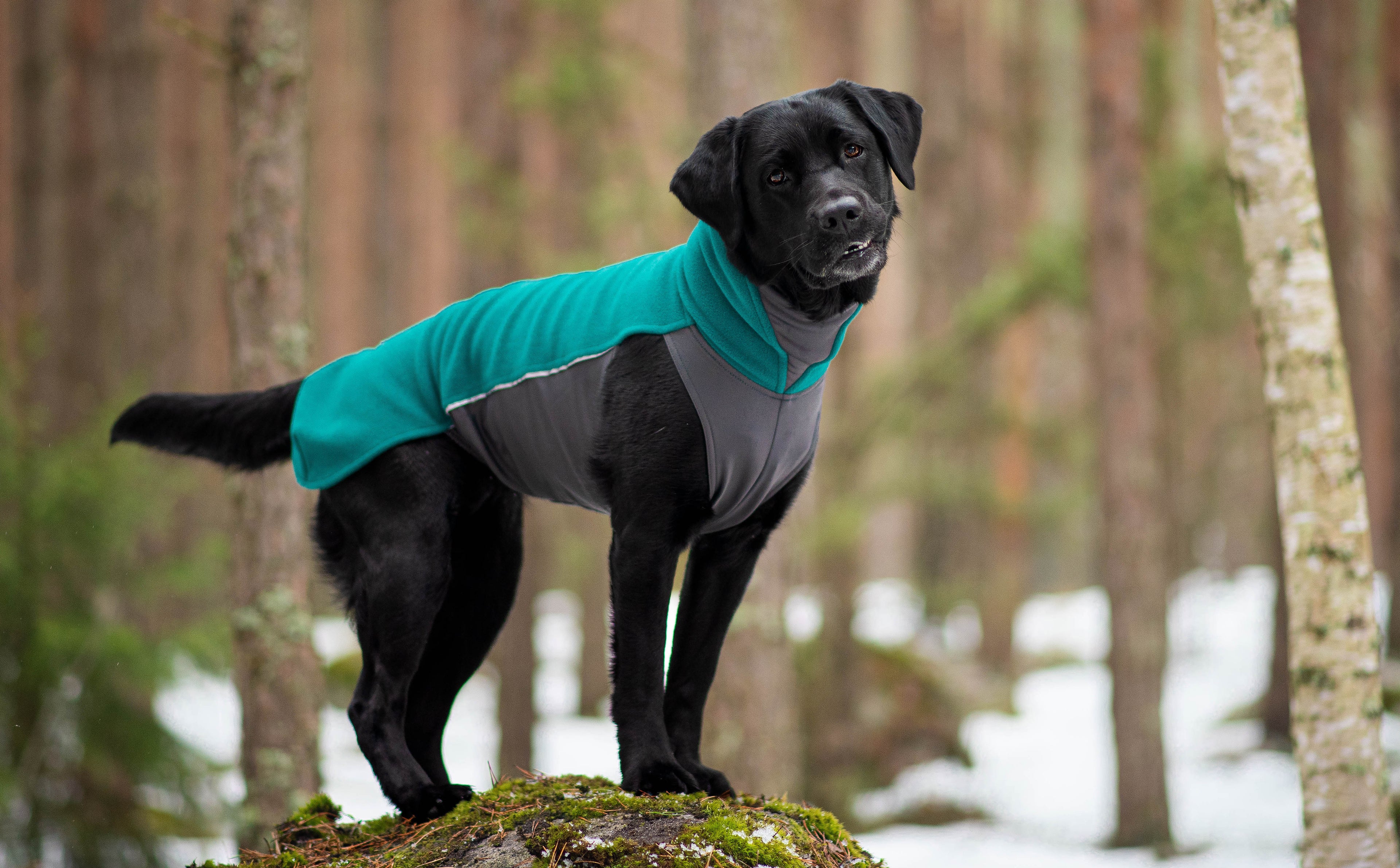Fleece μπουφάν Jumppa Forest