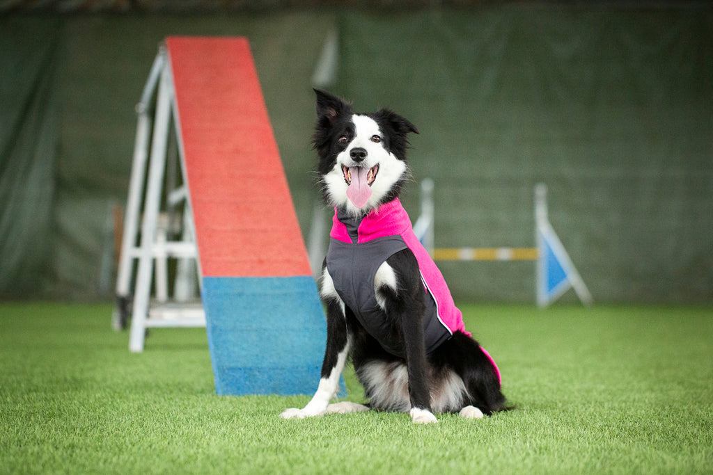 Fleece μπουφάν Jumppa Pink