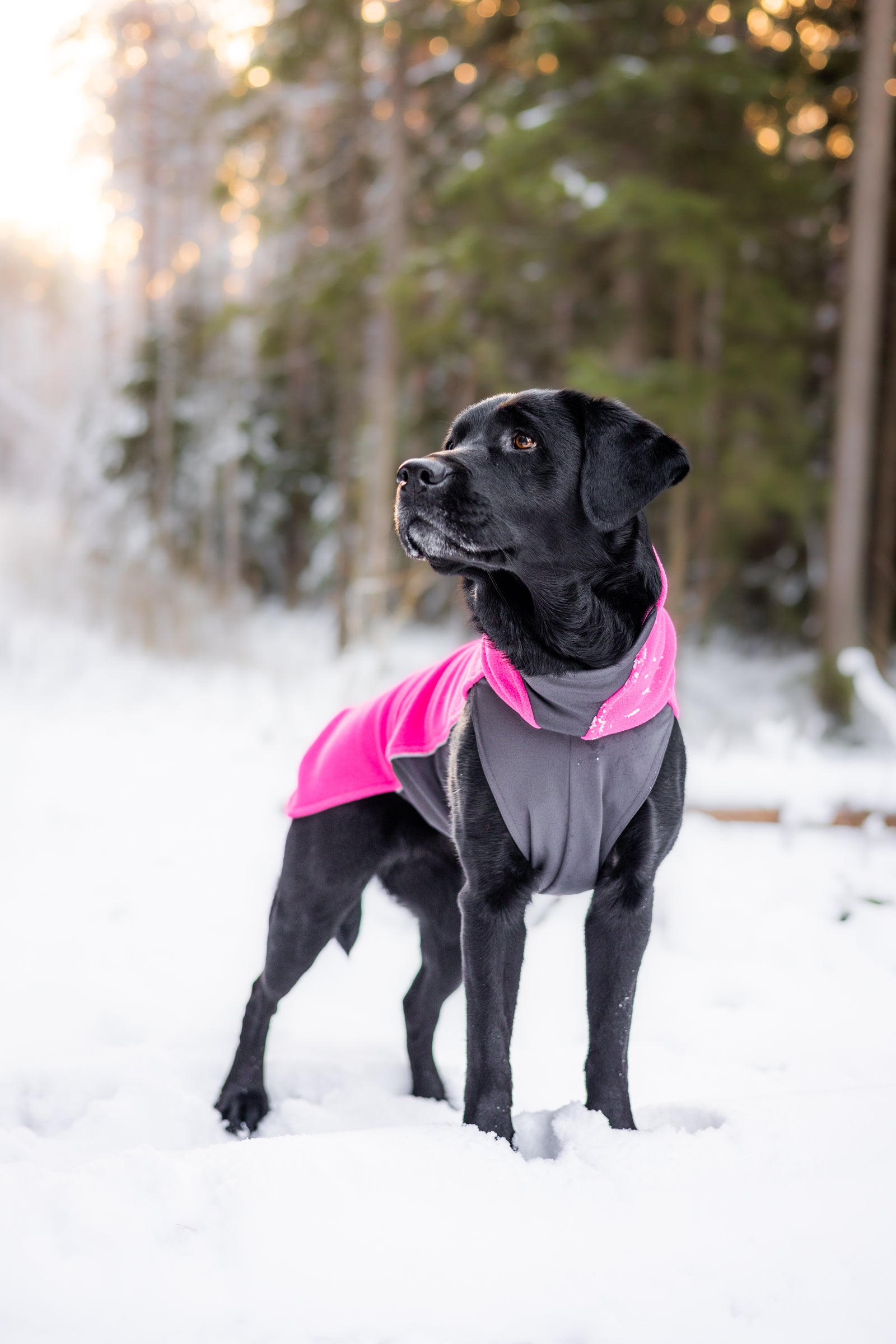 Fleece μπουφάν Jumppa Pink