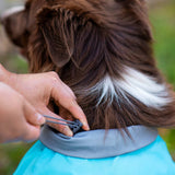 Αδιάβροχο μπουφάν Kuori λεμονί