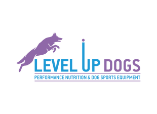 levelupdogs