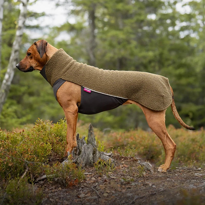 Polar pomppa olive