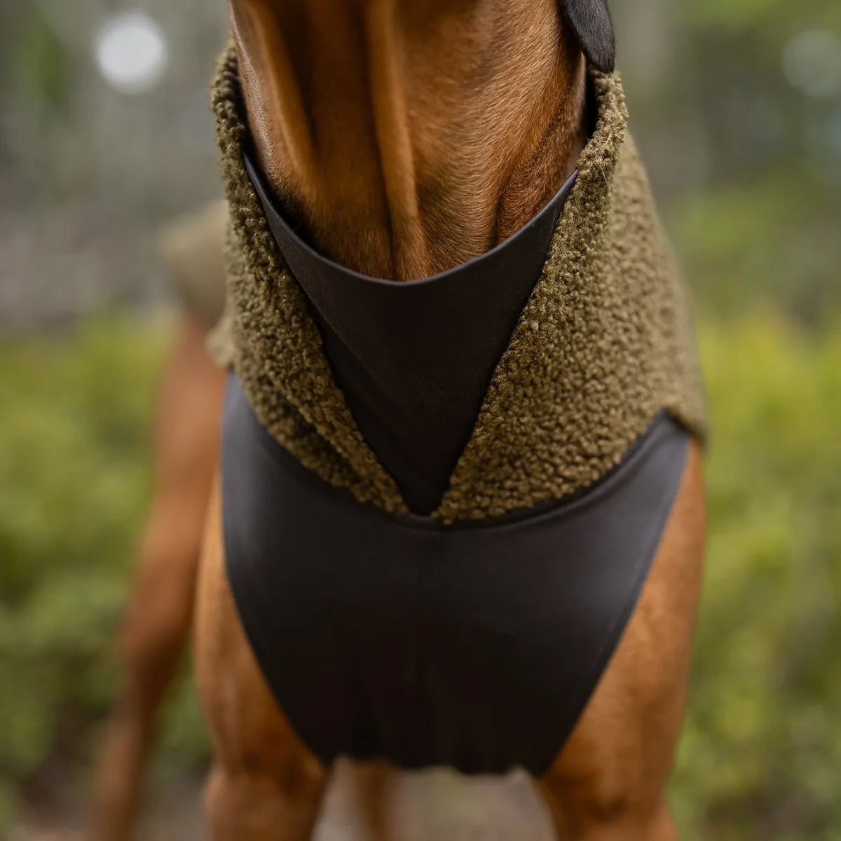 Polar pomppa olive