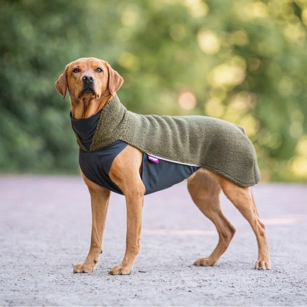 Polar pomppa olive