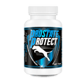 Prostate Protect (60 ταμπλέτες)