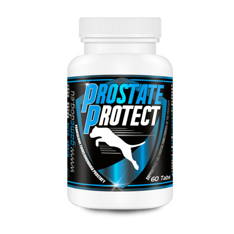 Prostate Protect (60 ταμπλέτες)