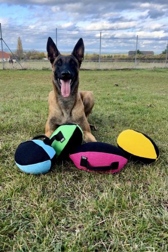 Ringo rugby tug (large)