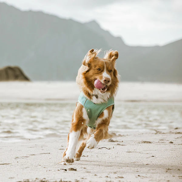 Γιλέκο Cooling Wrap (40-50 εκατ.)