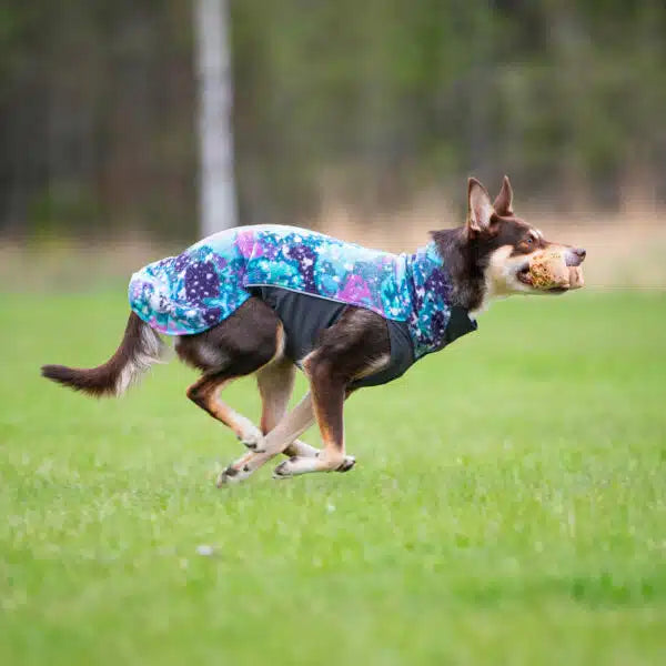 Fleece μπουφάν Jumppa Aurora