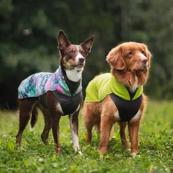 Fleece μπουφάν Jumppa Aurora