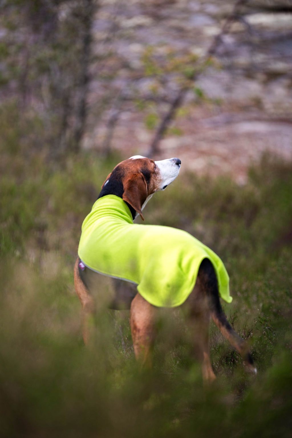 Fleece μπουφάν Jumppa λαχανί