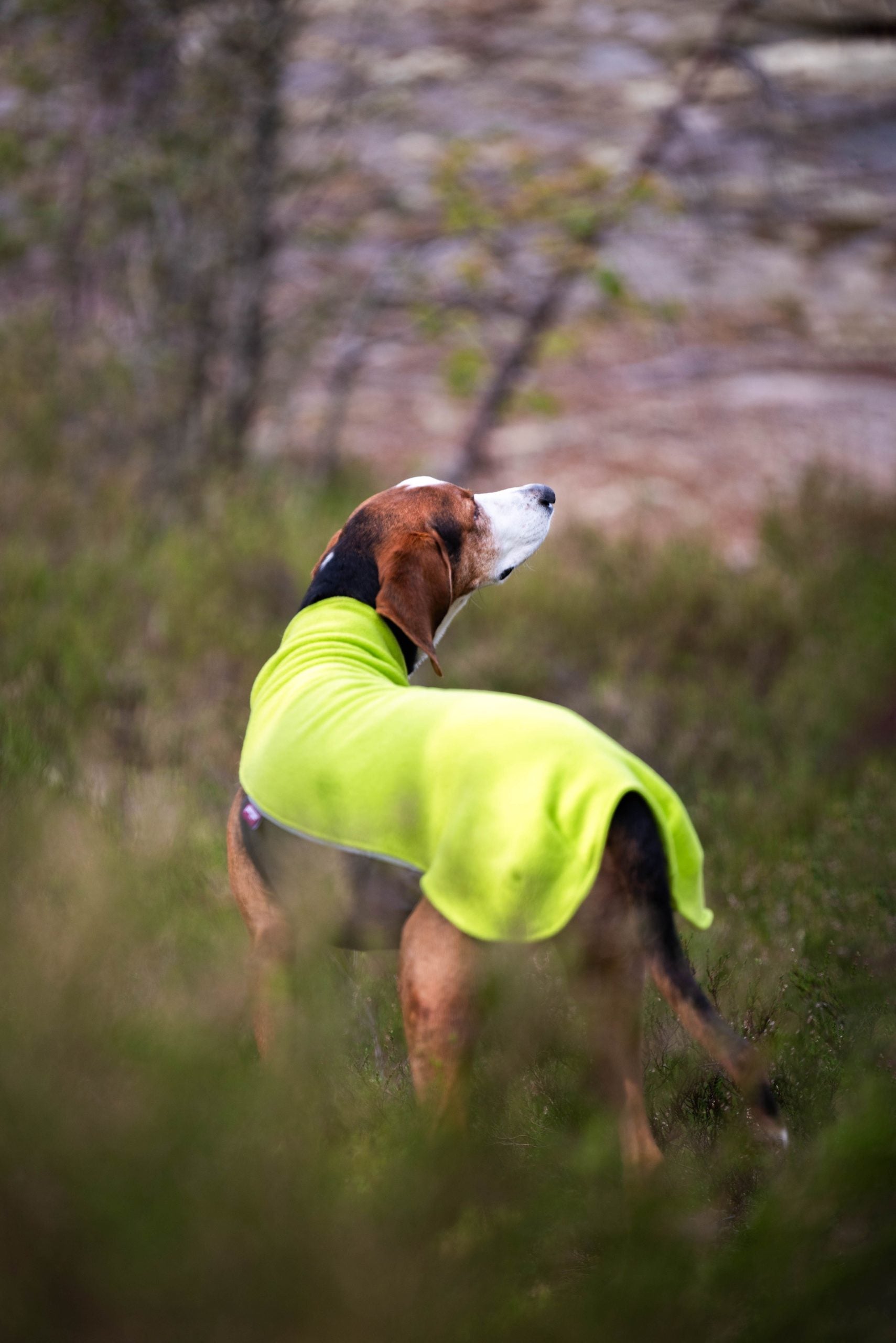 Fleece μπουφάν Jumppa λαχανί