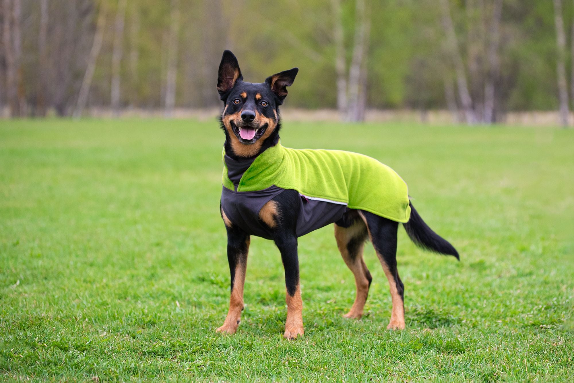 Fleece μπουφάν Jumppa λαχανί