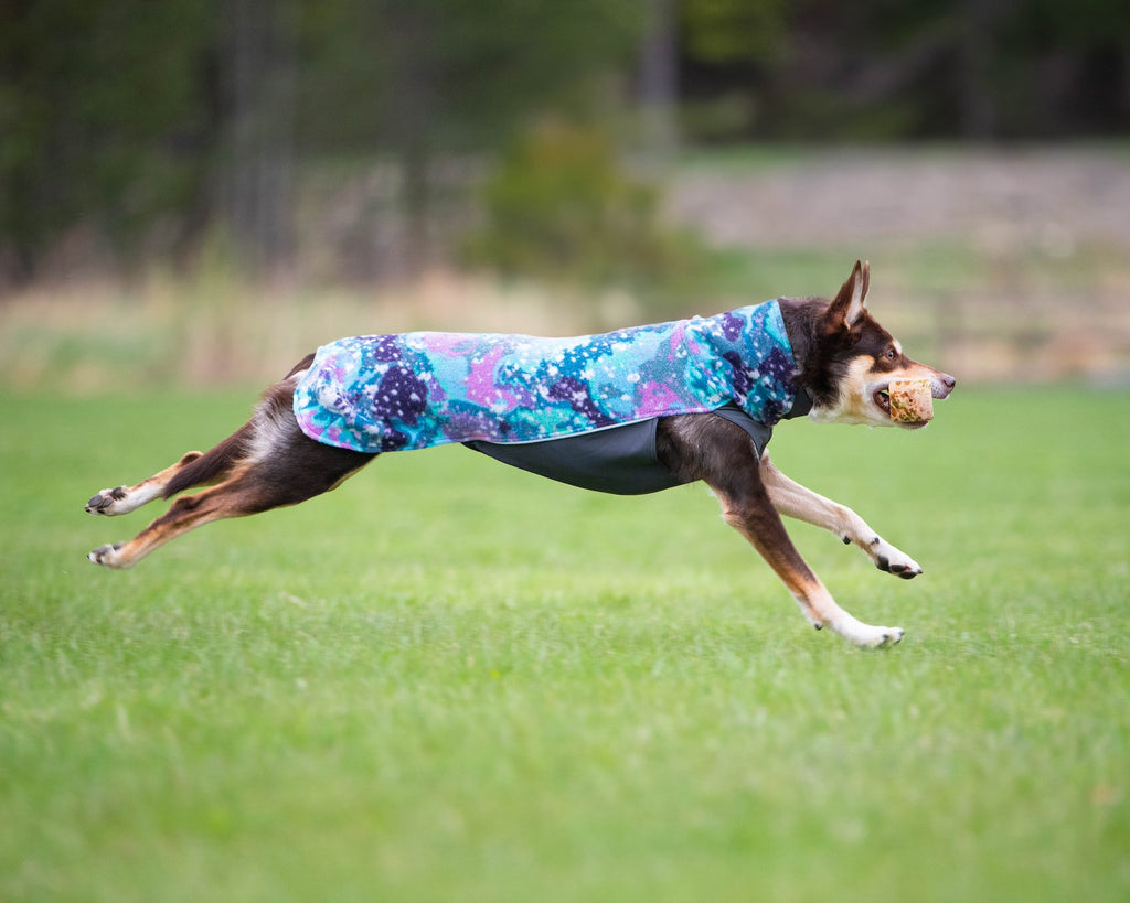 Fleece μπουφάν Jumppa Aurora