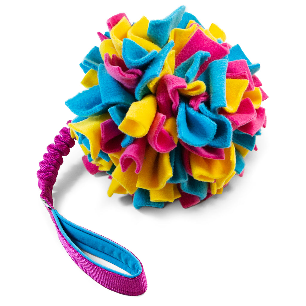 Pompon on JW Pet Hol-EE Roller bungee small