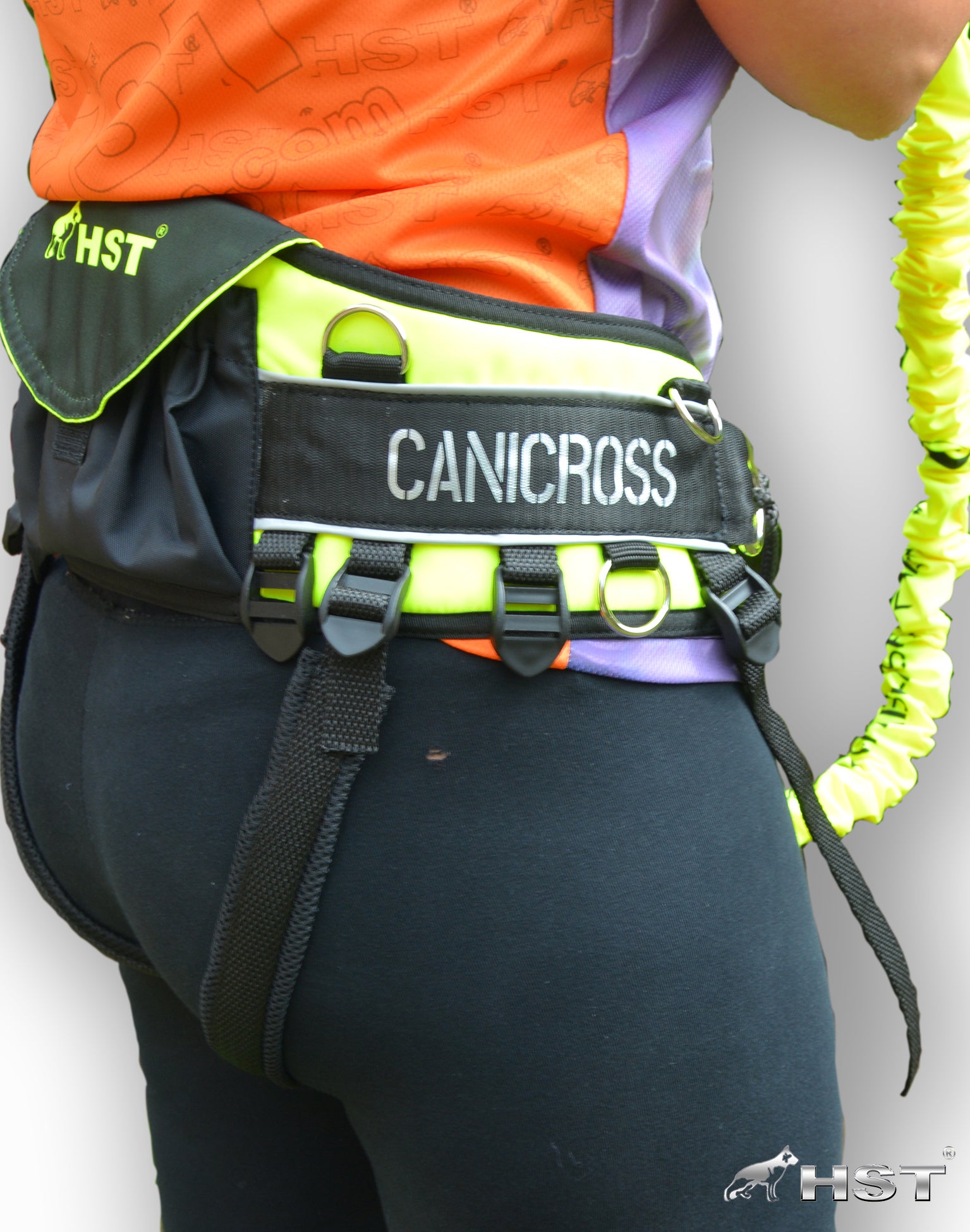 Σετ ζώνη μέσης & οδηγός για trekking / canicross