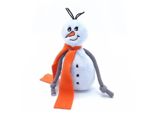 Mr. Snowman