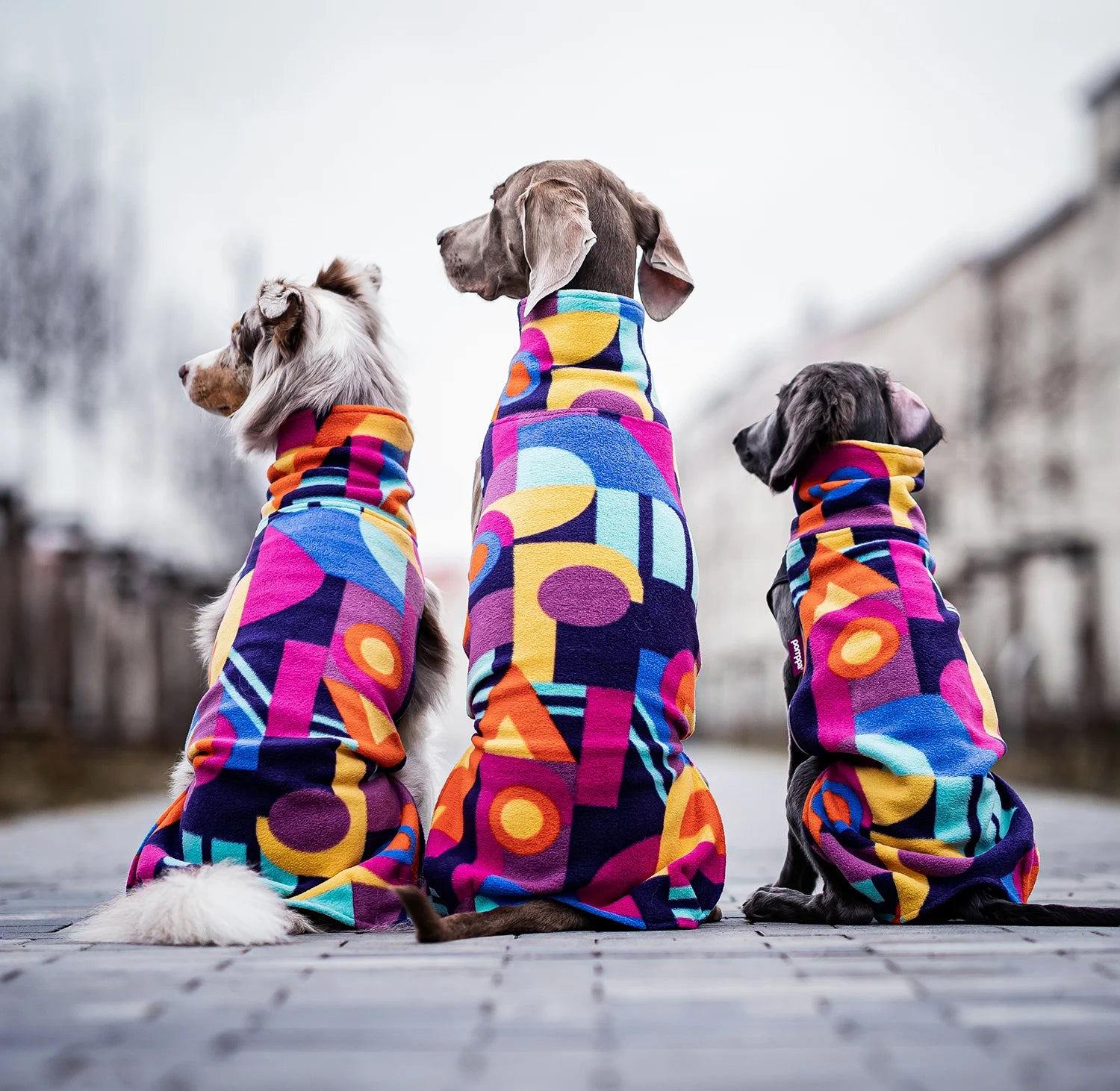 Επετειακό fleece μπουφάν Jumppa Femton