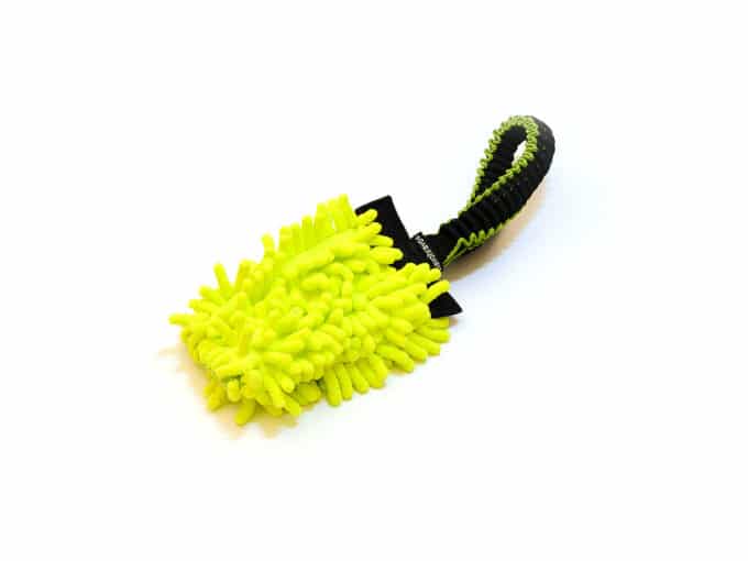 Tuggy short Anemone