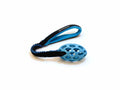 Tuggy & Hol-EE-Football small