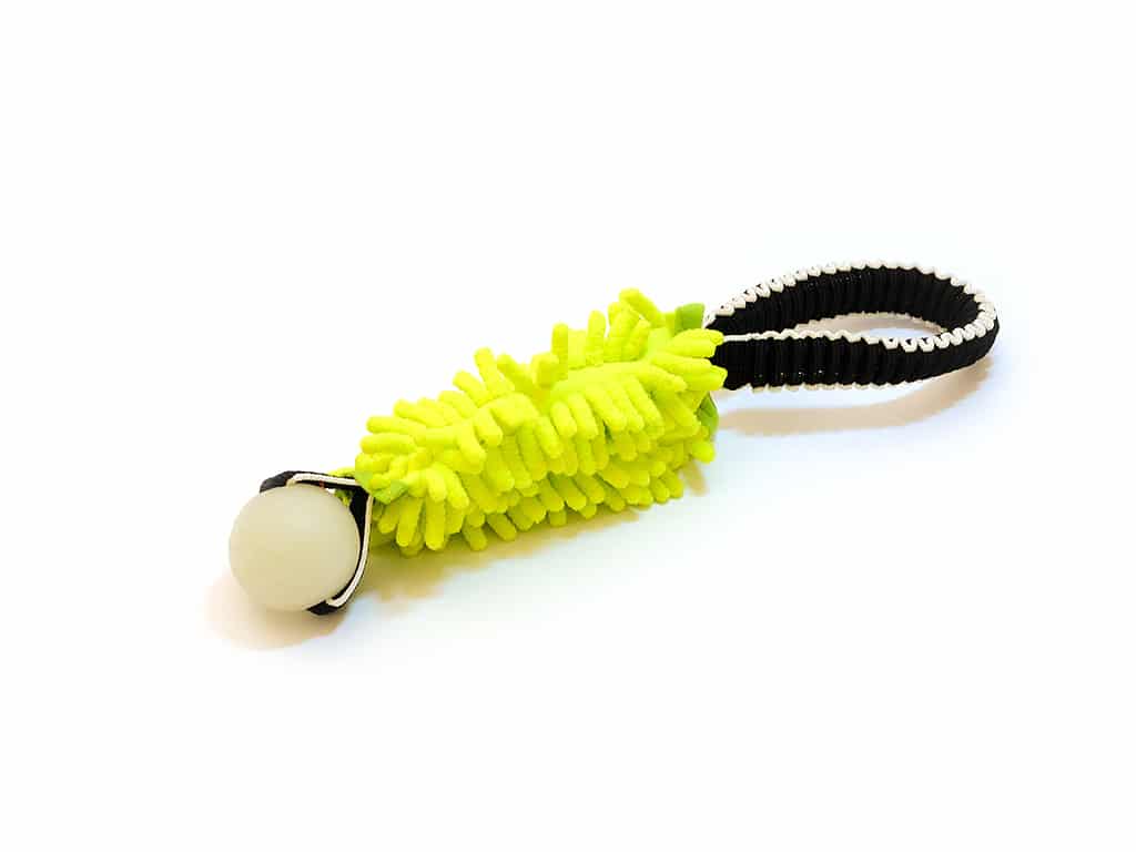 Tuggy short Anemone & Chuckit Max Glow Small