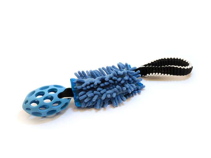 Tuggy short Anemone & Hol-EE-Football small
