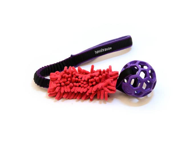 Tuggy standard Anemone & Hol-EE-Roller small