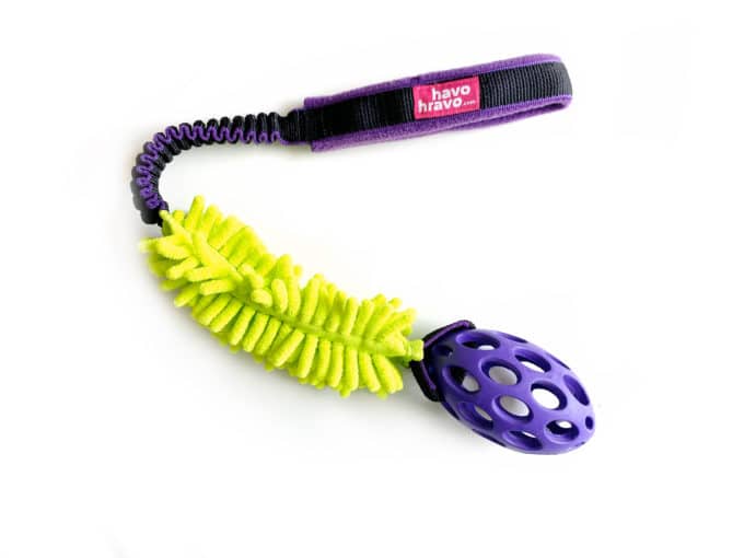 Tuggy Anemone & Hol-EE-Football small