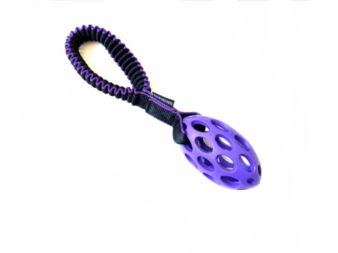 Tuggy short & Hol-EE-Football small