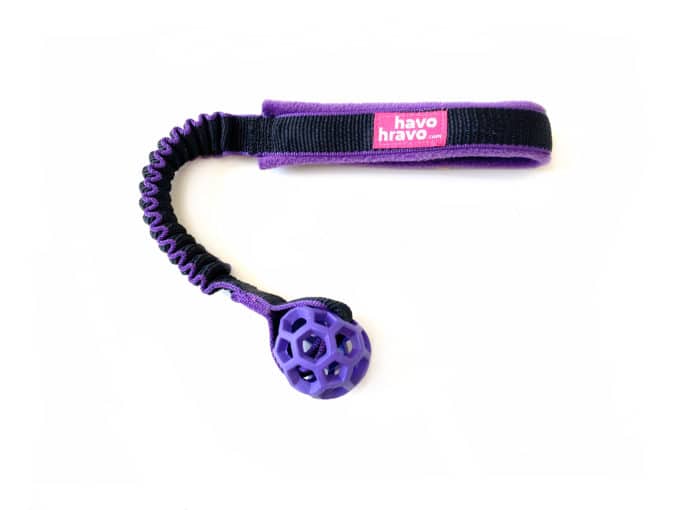 Tuggy & Hol-EE-Roller XSmall