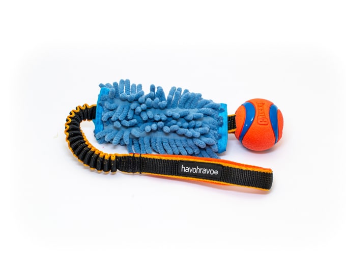Tuggy Standard Anemone & Chuckit Ultra Ball Medium