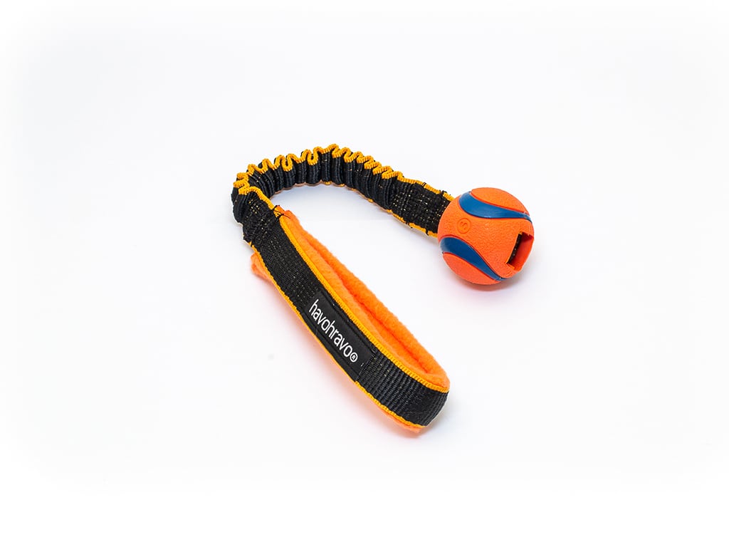 Tuggy Chuckit Ultra Ball Small