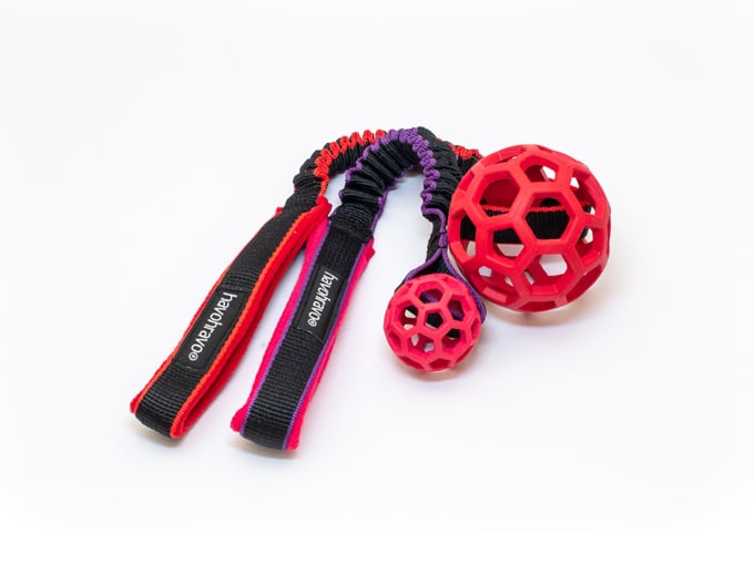 Tuggy & Hol-EE-Roller XSmall