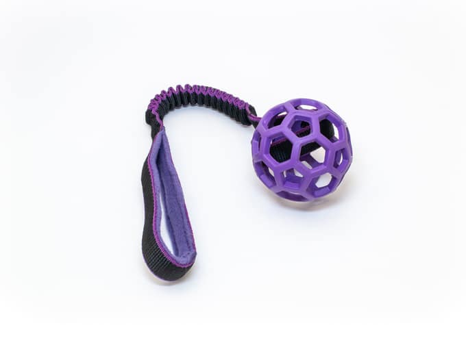 Tuggy & Hol-EE-Roller small