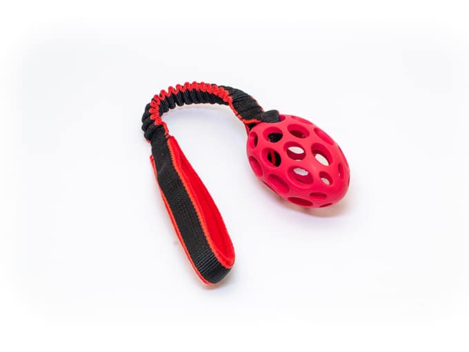 Tuggy & Hol-EE-Football small