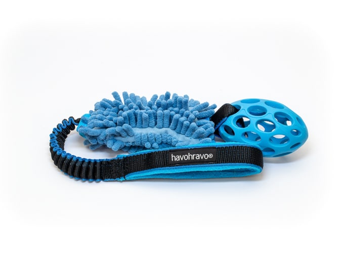 Tuggy Anemone & Hol-EE-Football small