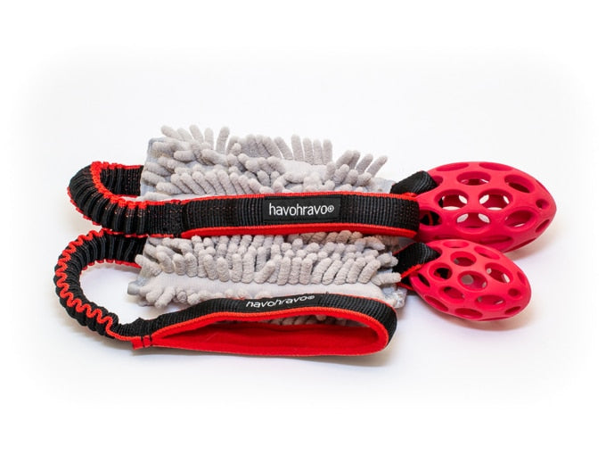 Tuggy Anemone & Hol-EE-Football small